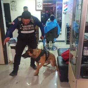 Policía Municipal de El Guarco incrementa operativos los fines de semana.