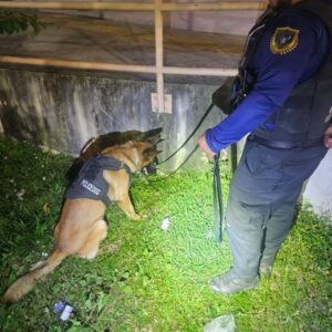 Policía Municipal de El Guarco incrementa operativos los fines de semana.