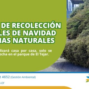 ¡Campaña de Recolección de Árboles Naturales Casa por Casa!